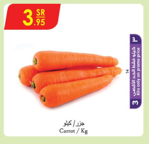  Carrot  in الدانوب in مملكة العربية السعودية, السعودية, سعودية - جازان