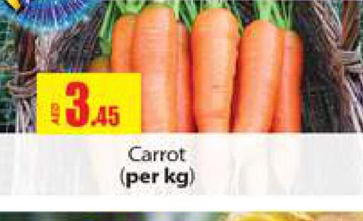  Carrot  in Gulf Hypermarket LLC in UAE - Ras al Khaimah