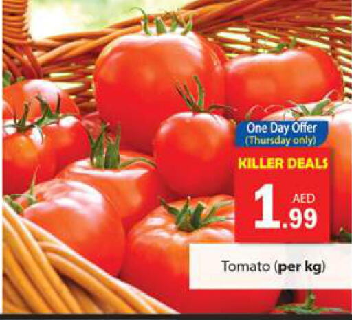  Tomato  in Gulf Hypermarket LLC in UAE - Ras al Khaimah
