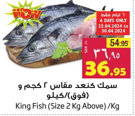  King Fish  in ليان هايبر in مملكة العربية السعودية, السعودية, سعودية - المنطقة الشرقية