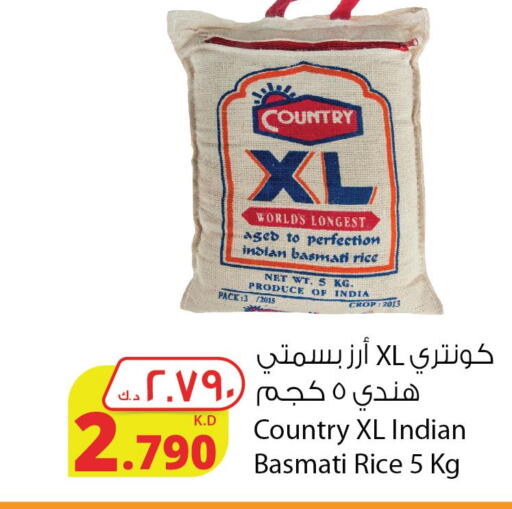  Basmati Rice  in Agricultural Food Products Co. in Kuwait - Jahra Governorate