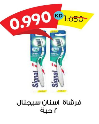 SIGNAL Toothbrush  in Sabah Al Salem Co op in Kuwait - Ahmadi Governorate