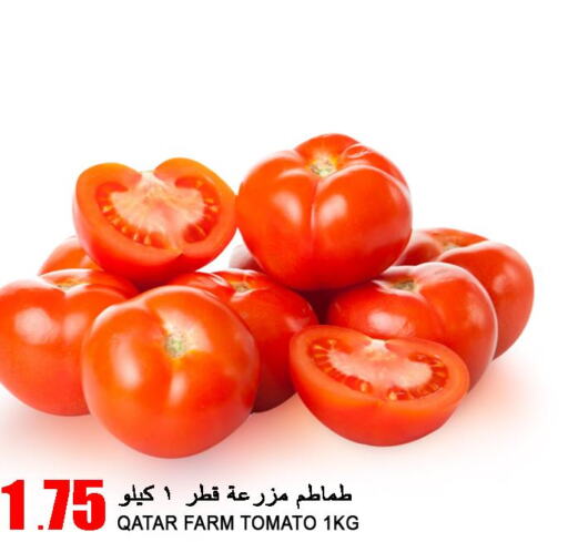  Tomato  in قصر الأغذية هايبرماركت in قطر - الخور