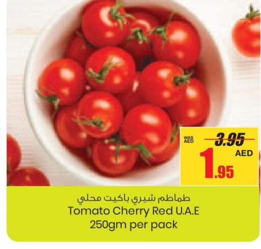  Tomato  in جمعية القوات المسلحة التعاونية (أفكوب) in الإمارات العربية المتحدة , الامارات - أبو ظبي