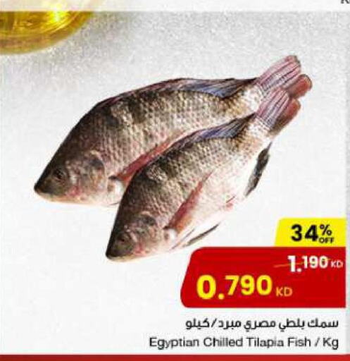  Tuna  in The Sultan Center in Kuwait - Jahra Governorate