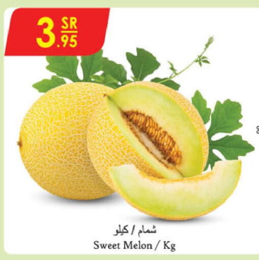  Sweet melon  in الدانوب in مملكة العربية السعودية, السعودية, سعودية - الأحساء‎