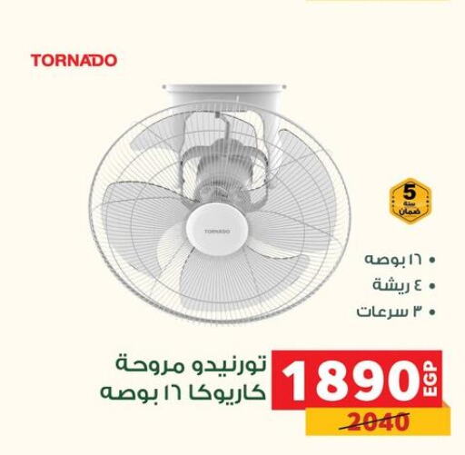 TORNADO Fan  in بنده in Egypt - القاهرة