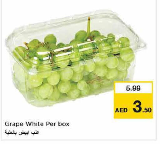  Grapes  in Last Chance  in UAE - Fujairah