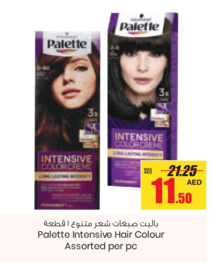 PALETTE Hair Colour  in Armed Forces Cooperative Society (AFCOOP) in UAE - Abu Dhabi