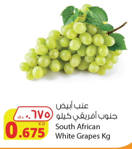  Grapes  in Agricultural Food Products Co. in Kuwait - Ahmadi Governorate