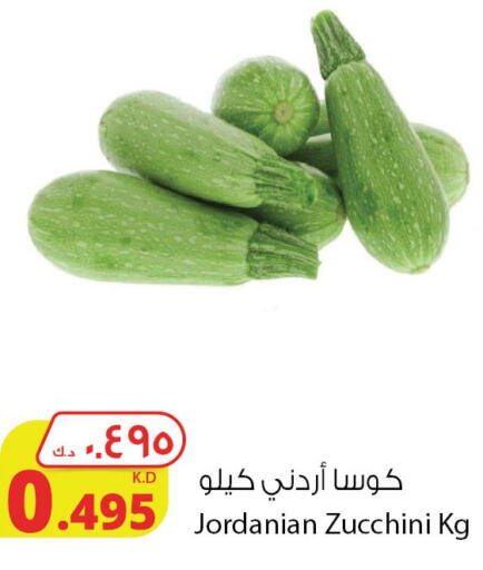  Zucchini  in شركة المنتجات الزراعية الغذائية in الكويت - محافظة الأحمدي