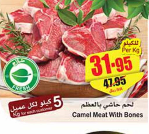  Camel meat  in أسواق عبد الله العثيم in مملكة العربية السعودية, السعودية, سعودية - القطيف‎