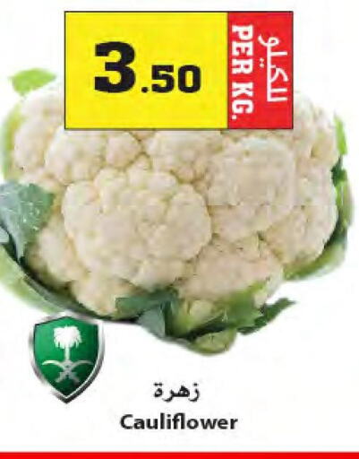  Cauliflower  in Star Markets in KSA, Saudi Arabia, Saudi - Jeddah