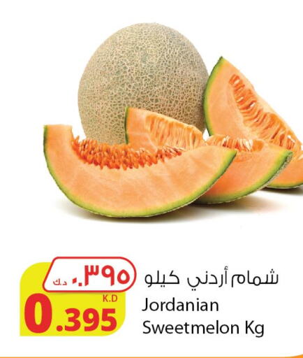  Sweet melon  in شركة المنتجات الزراعية الغذائية in الكويت - محافظة الجهراء