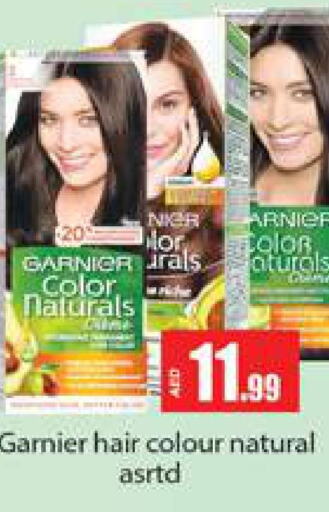 GARNIER Hair Colour  in Gulf Hypermarket LLC in UAE - Ras al Khaimah