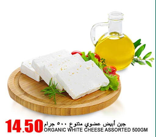  Cheddar Cheese  in قصر الأغذية هايبرماركت in قطر - الخور
