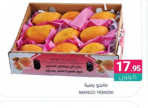 Mango   in Muntazah Markets in KSA, Saudi Arabia, Saudi - Qatif