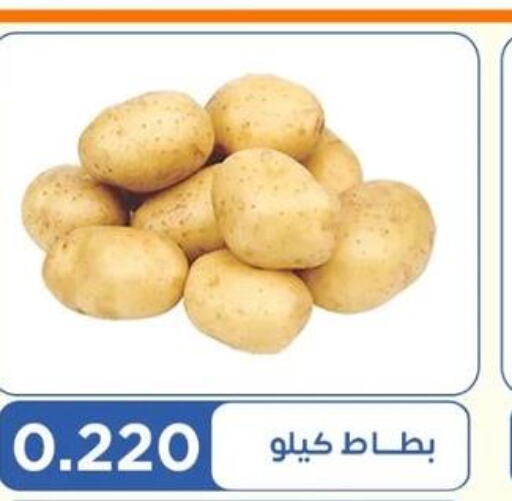  Onion  in جمعية اشبيلية التعاونية in الكويت - مدينة الكويت