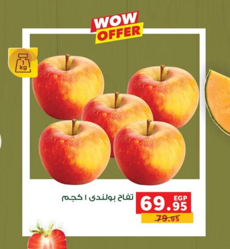  Apples  in بنده in Egypt - القاهرة
