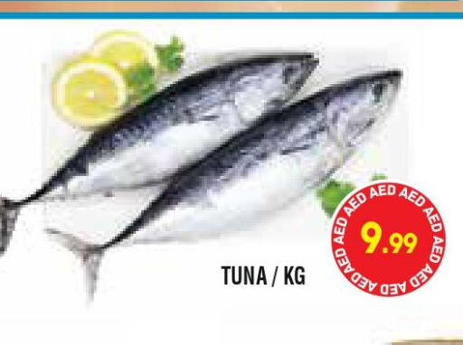  Tuna  in سوبرماركت هوم فريش ذ.م.م in الإمارات العربية المتحدة , الامارات - أبو ظبي