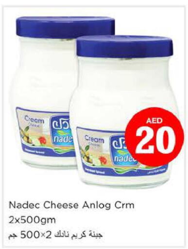 NADEC Cream Cheese  in Nesto Hypermarket in UAE - Fujairah