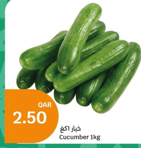  Cucumber  in City Hypermarket in Qatar - Al-Shahaniya