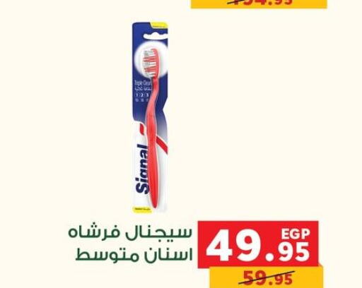 SIGNAL Toothbrush  in بنده in Egypt - القاهرة