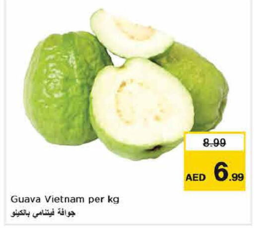  Guava  in لاست تشانس in الإمارات العربية المتحدة , الامارات - ٱلْفُجَيْرَة‎