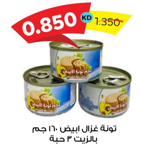  Tuna  in جمعية ضاحية صباح السالم التعاونية in الكويت - محافظة الأحمدي