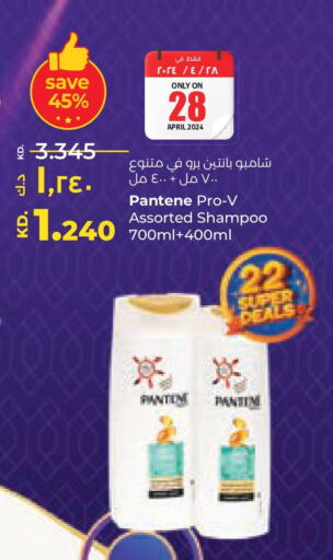 PANTENE Shampoo / Conditioner  in Lulu Hypermarket  in Kuwait - Ahmadi Governorate