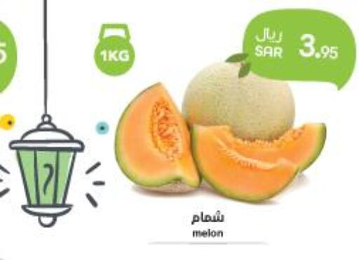  Sweet melon  in واحة المستهلك in مملكة العربية السعودية, السعودية, سعودية - المنطقة الشرقية