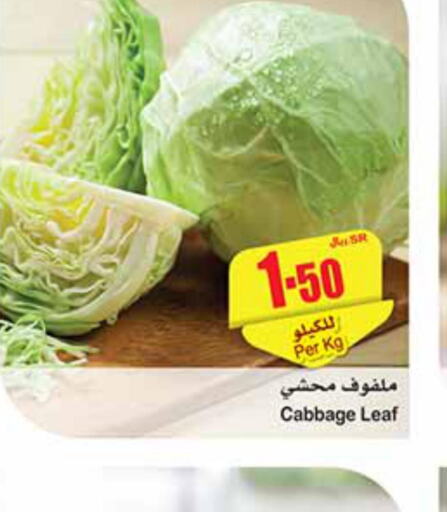  Cabbage  in أسواق عبد الله العثيم in مملكة العربية السعودية, السعودية, سعودية - الرس