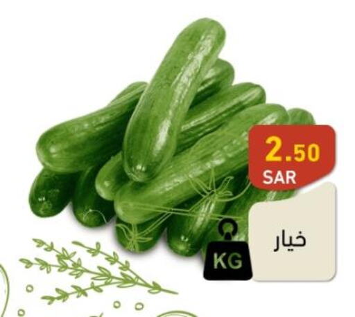  Cucumber  in Aswaq Ramez in KSA, Saudi Arabia, Saudi - Riyadh