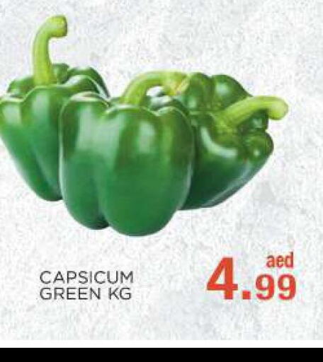  Chilli / Capsicum  in C.M. supermarket in UAE - Abu Dhabi