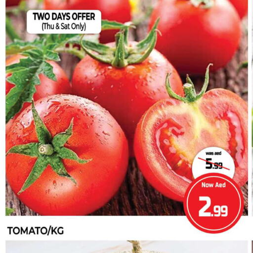  Tomato  in Al Madina  in UAE - Sharjah / Ajman