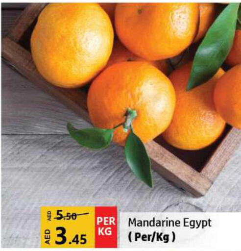  Orange  in الحوت  in الإمارات العربية المتحدة , الامارات - الشارقة / عجمان