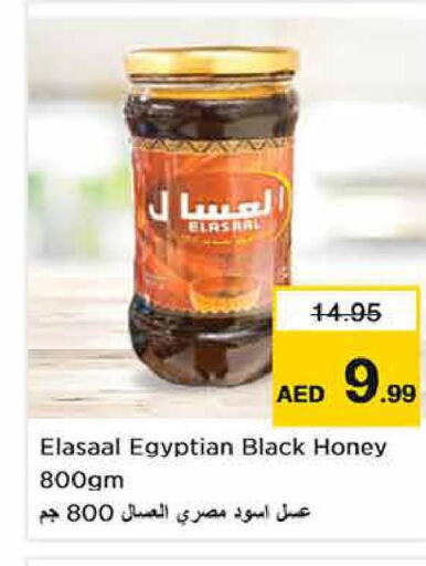  Honey  in Last Chance  in UAE - Sharjah / Ajman