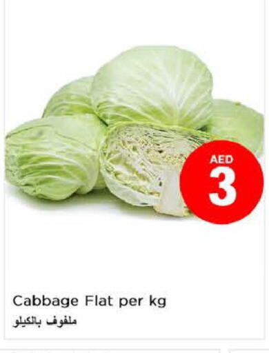  Cabbage  in Nesto Hypermarket in UAE - Al Ain