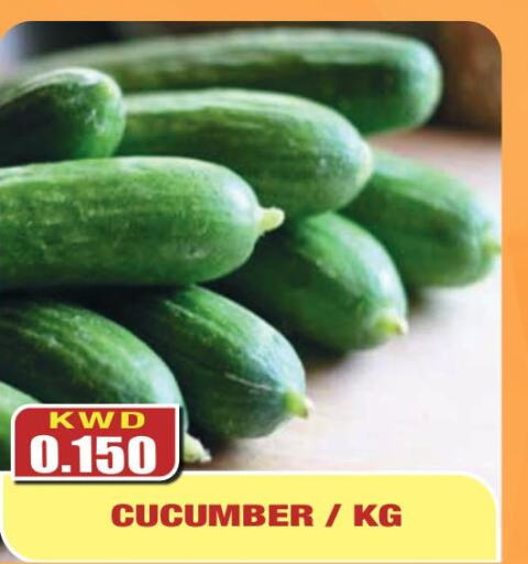  Cucumber  in Olive Hyper Market in Kuwait - Ahmadi Governorate