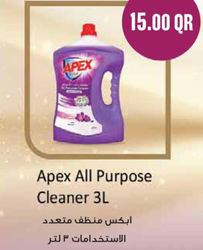  General Cleaner  in مونوبريكس in قطر - الخور