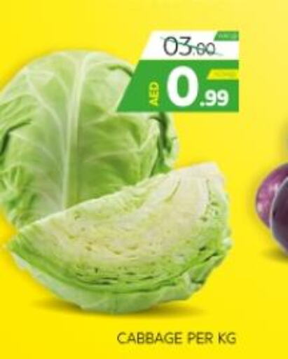  Cabbage  in Seven Emirates Supermarket in UAE - Abu Dhabi