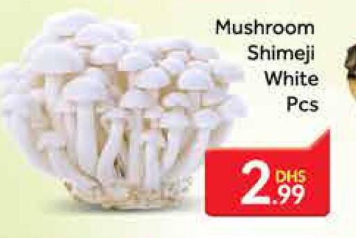  Mushroom  in المدينة in الإمارات العربية المتحدة , الامارات - دبي