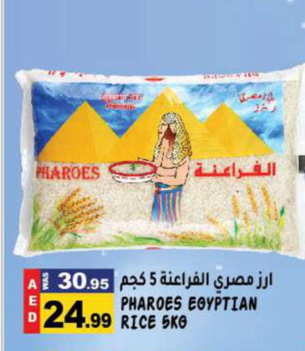  Egyptian / Calrose Rice  in هاشم هايبرماركت in الإمارات العربية المتحدة , الامارات - الشارقة / عجمان