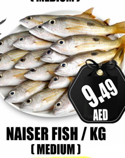  King Fish  in GRAND MAJESTIC HYPERMARKET in UAE - Abu Dhabi