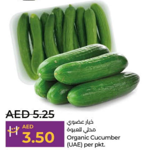  Cucumber  in لولو هايبرماركت in الإمارات العربية المتحدة , الامارات - الشارقة / عجمان