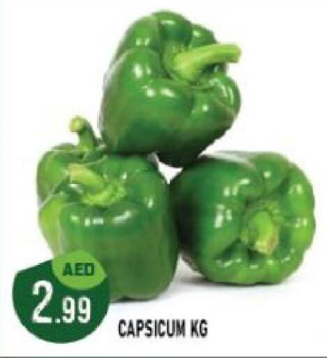  Chilli / Capsicum  in Azhar Al Madina Hypermarket in UAE - Abu Dhabi