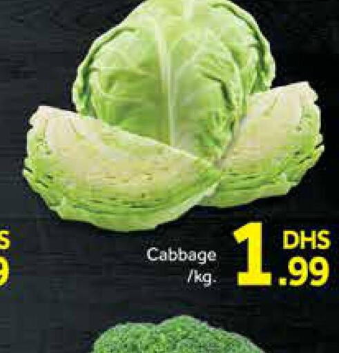  Cabbage  in مانجو هايبرماركت in الإمارات العربية المتحدة , الامارات - دبي