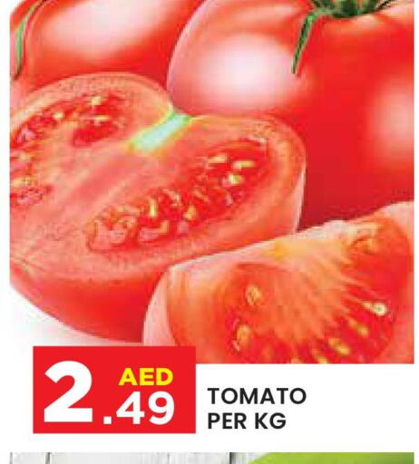  Tomato  in سنابل بني ياس in الإمارات العربية المتحدة , الامارات - ٱلْعَيْن‎