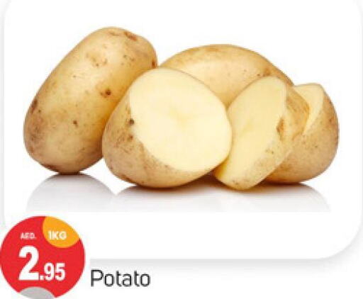  Potato  in TALAL MARKET in UAE - Sharjah / Ajman