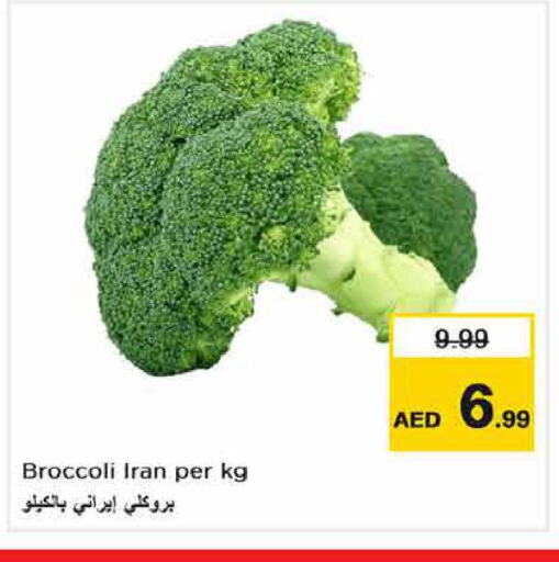  Broccoli  in Last Chance  in UAE - Sharjah / Ajman